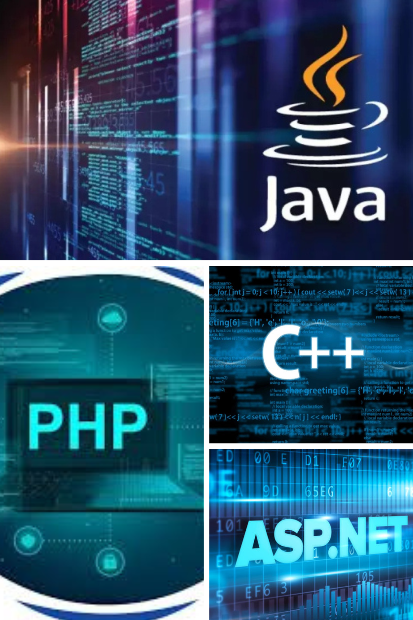 Software Development